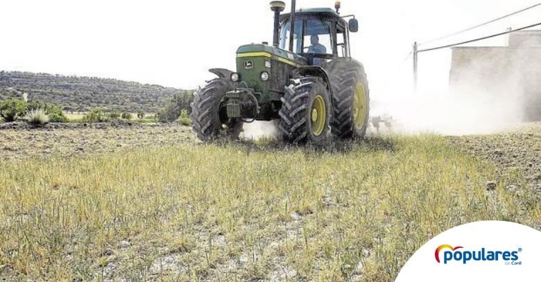 El PP de Conil presenta una moción en defensa de los agricultores y ganaderos